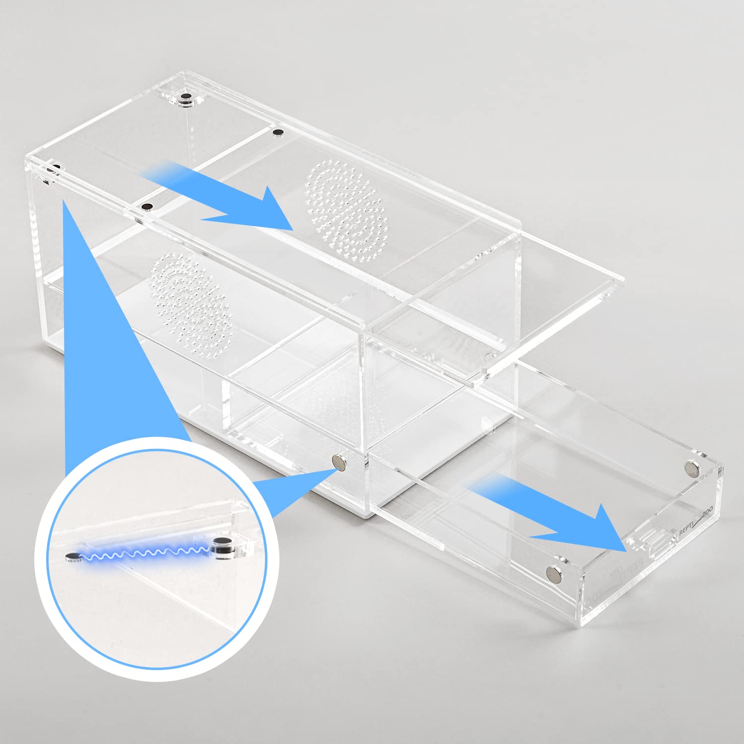 Amazon | REPTI ZOO磁気アクリル爬虫類テラリウム 8インチ x 4インチ x